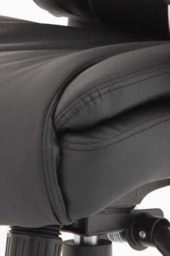 Aspartan Executive Office Chair -Furniture Sale Shop aspartan 1 1