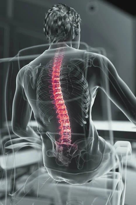 Pluto Ergonomic Mesh Office Chair 12 Pluto Ergonomic Mesh Office Chair - Image 10