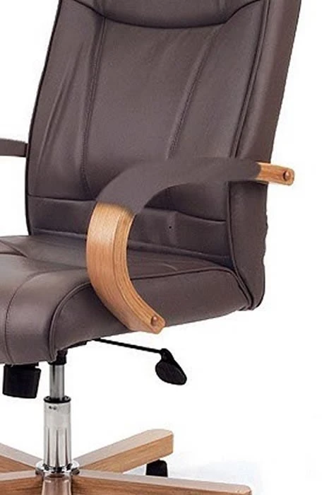 Barnes Executive Office Chair 4 Barnes Executive Office Chair - Image 2