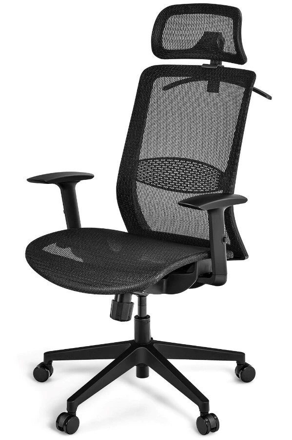 Belleville Ergonomic Mesh Office Chair 3 Belleville Ergonomic Mesh Office Chair