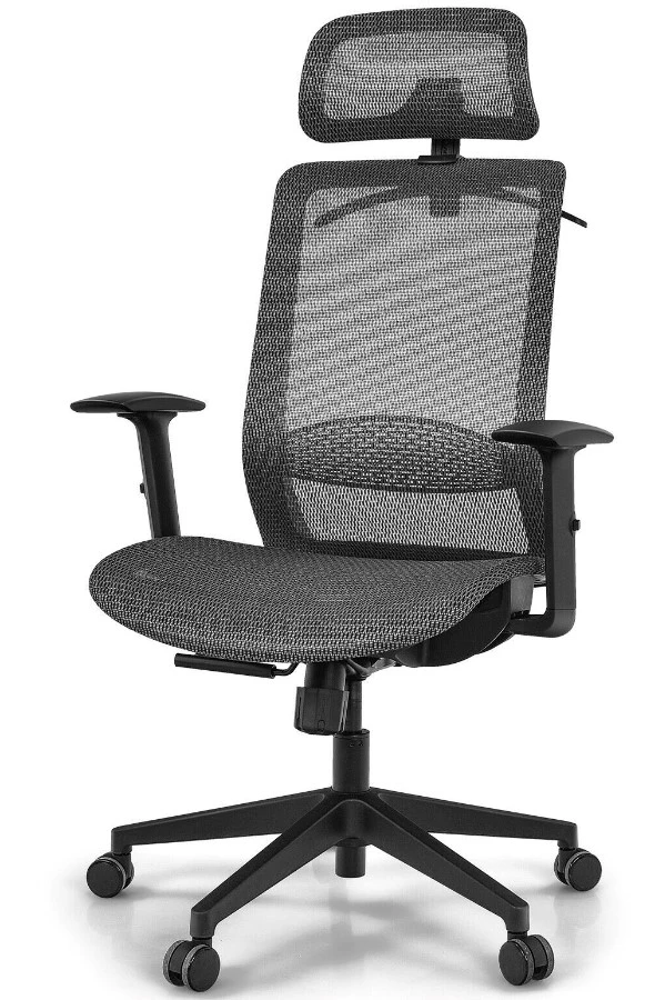 Belleville Ergonomic Mesh Office Chair 4 Belleville Ergonomic Mesh Office Chair - Image 2