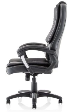 Dakota Extra Padded High Back Executive Chair -Furniture Sale Shop ex250 4