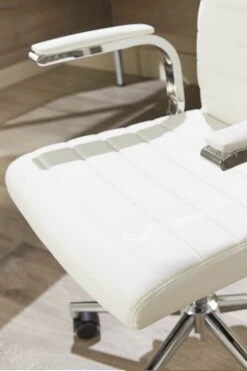 Ezra Executive Home Office Chair -Furniture Sale Shop ezra 8