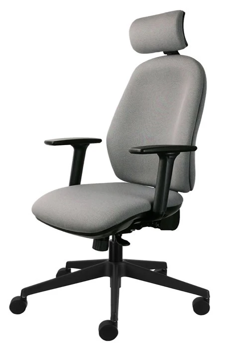 Ergo Fix Posture 7 Ergo Fix Posture - Image 5