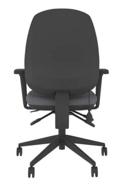Lumbar Office Chair -Furniture Sale Shop frf100 gy back