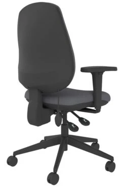 Lumbar Office Chair -Furniture Sale Shop frf100 gy back right