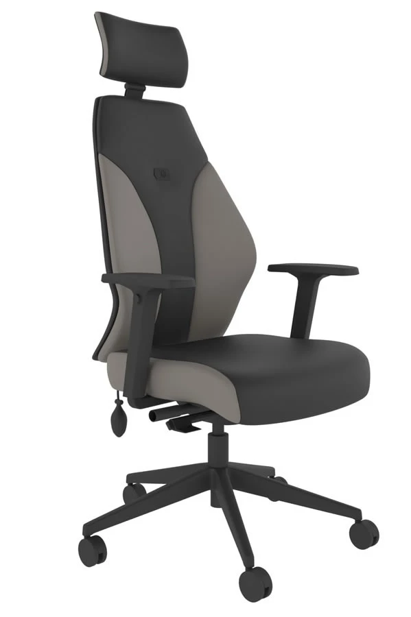 Abyss High Back Ergonomic Chair 4 Abyss High Back Ergonomic Chair - Image 2