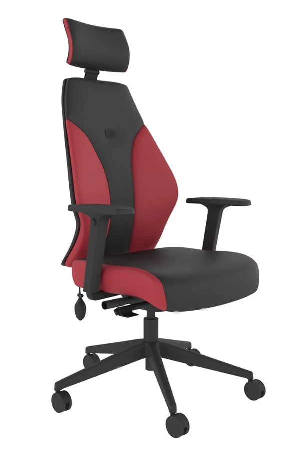 Abyss High Back Ergonomic Chair 3 Abyss High Back Ergonomic Chair