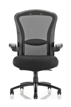 Houston Bariatric Chair -Furniture Sale Shop houston 4