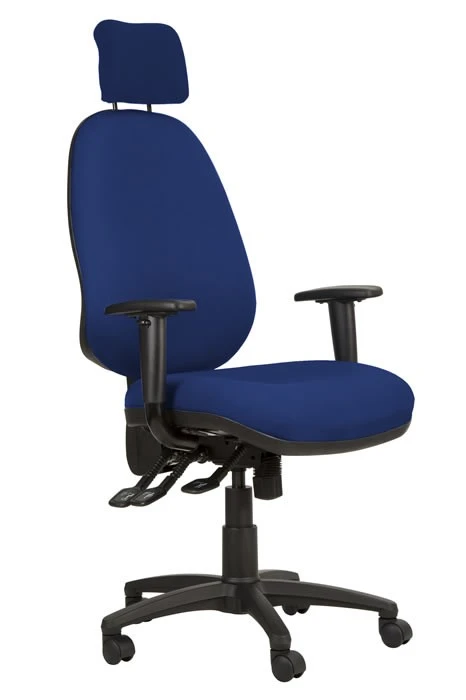 Ergo Posture High Back Office Chair 3 Ergo Posture High Back Office Chair