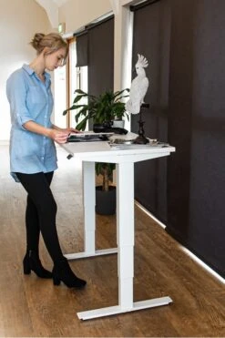 Mini Standing Desk -Furniture Sale Shop mini 5