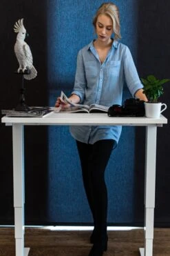 Mini Standing Desk -Furniture Sale Shop mini 9