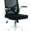 Oyster Folding Arm Office Chair -Furniture Sale Shop oyster 1