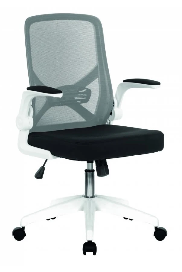 Oyster Folding Arm Office Chair 4 Oyster Folding Arm Office Chair - Image 2