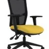 Paris Mesh Ergonomic Chair -Furniture Sale Shop rs300a cse32 new front right