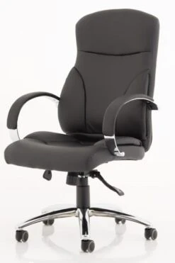 Trojan Office Chair -Furniture Sale Shop trojan 2 1