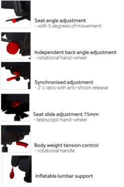 Chiro Support -Furniture Sale Shop untilted 3