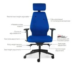 Positive Posture -Furniture Sale Shop untitled 2