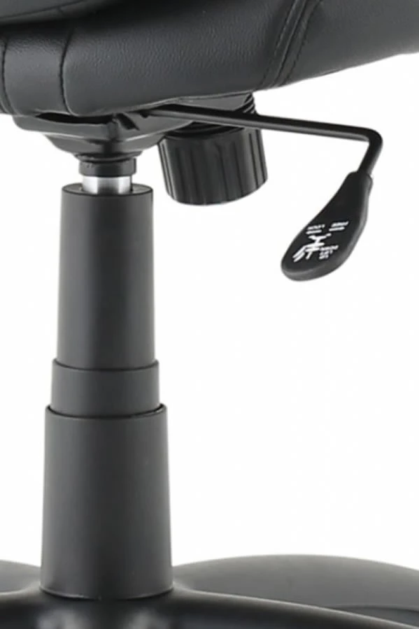 Windsor Leather Office Chair 10 Windsor Leather Office Chair - Image 8